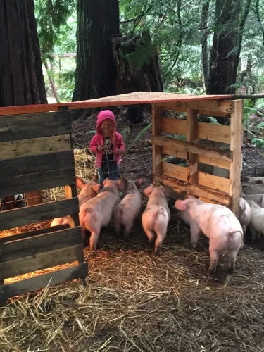 69-Butcher-Shop-Seattle-WA-Farm-Fresh-NW-Delivery